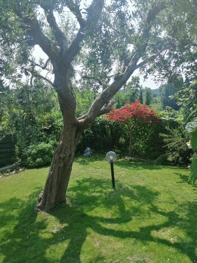 Casa Laghetto Villa Castellaro  Buitenkant foto